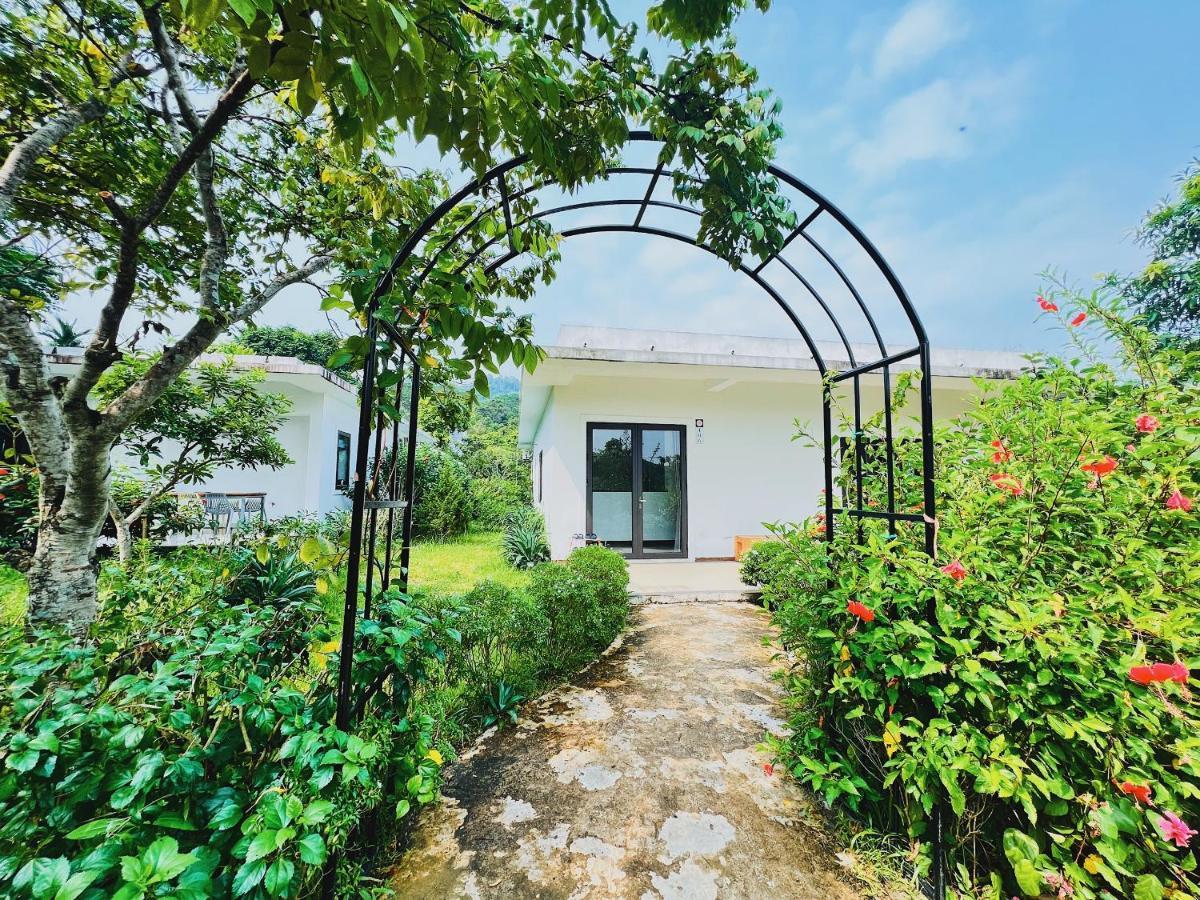 Rose Villas & Resort - Ba VI Son Tay Экстерьер фото